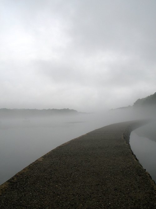 Misty Path - Grey