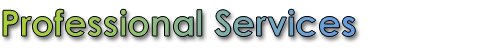 Professional Services