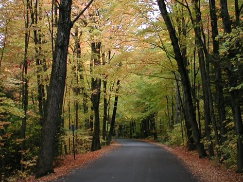 Puffers Path