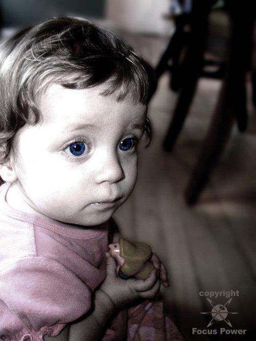 Halley Bright Eyes