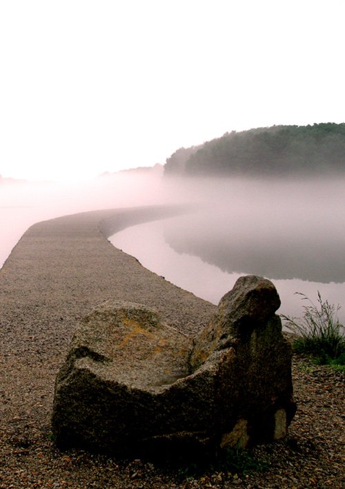 Misty Path - Pink