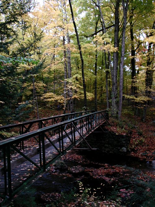 Puffers Path