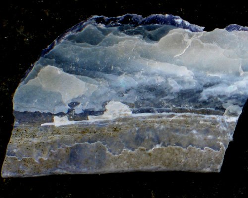 Shell Scene